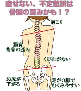 モンテセラピーで筋肉・骨格のバランスを整える