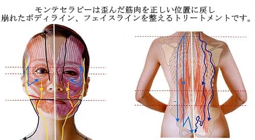 モンテセラピーとは