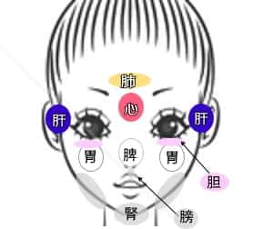 顔の経絡