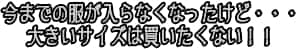 今までの服が入らなくなった